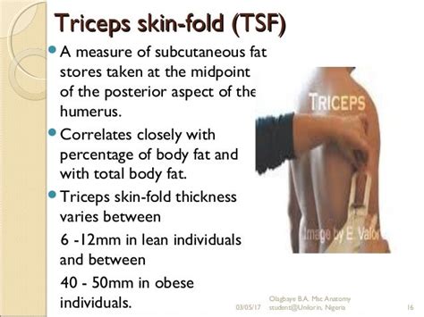 skinfold thickness test definition|tricep skinfold measurement chart.